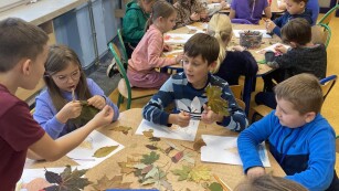 dzieci przy stolikach tworzą prace plastyczne z liści